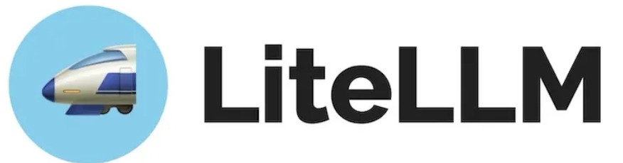 LiteLLM
