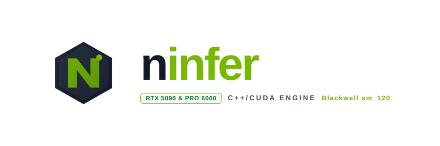 ninfer